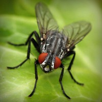 /album/finca-monte-alegre/photolia-a01-jpg/