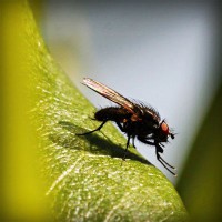 /album/finca-monte-alegre/photolia-a04-jpg/