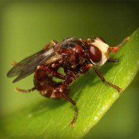 /album/finca-monte-alegre/photolia-a06-jpg/